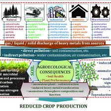 We did not find results for: Overview Of Sources Of Heavy Metal Pollution And Its Agroecological Download Scientific Diagram