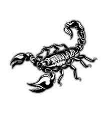 We did not find results for: Scorpion Tattoo Tattoos Vector Images Over 1 000