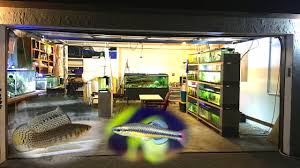 Fish tank room escape is another new point and click room escape game from games2rule.com. Wild Fish Tank Room Tour Garage Fish Room Youtube