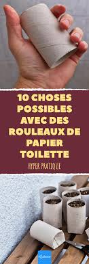 Les Amateurs De Bricolage Savent Que Les Rouleaux De Papier Toilette Sont Tres Utiles Rouleau Papier Toilette Papier Toilette Bricolage Rouleau Papier Toilette