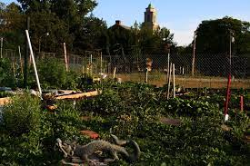 What are the benefits of community gardens? Community Gardening In The United States Wikipedia
