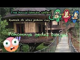 Sesuai dengan namanya safari day ini mengajak para berikut ini adalah daftar harga di taman safari yang perlu kalian ketahui ketika ingin berkunjung ke tempat ini baik pada hari biasa maupun pada akhir pekan. Taman Safari Indonesia Rumah Pohon Tree House Lodge Family Friendly Youtube