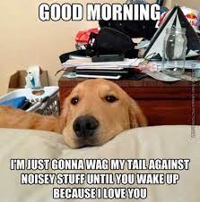 61 Times Golden Retrievers Were So Adorable You Wanted To Cry I Love Dogs Funny Cute Dogs