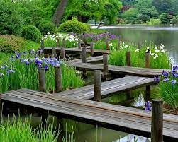 Landscape Photography Of Garden Water Irises And Boardwalk Japanese Water Gardens Japanese Garden Design Water Garden Plants
