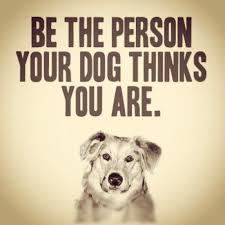 Cute Dog Movies Posts Facebook