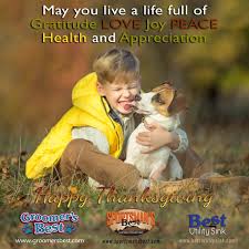 best utility sinks home facebook