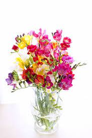 Bas Cooking Chicken Lemon With Caramelized Onions And An Apple Galette Pretty Flowers Freesia Flowers Beautiful Flowers