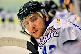 Sheffield Steeldogs