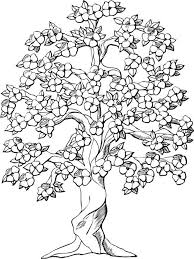 On this page, you'll find links to our extensive collection of free printable coloring pages for all occasions, plus some handy printable templates too! Tree Coloring Pages For Adults Free Printable Tree Coloring Pages