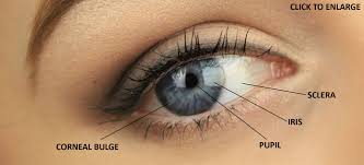 Image result for artistic divergence eyeballs