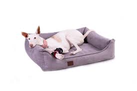 Wir sind uns sicher, hätte ihr hund die möglichkeit unter verschiedenen hundebetten eines auszuwählen, er würde sich für ein hundebett von uns entscheiden! Doggy Fit Orthopadische Hundebetten Xxl Hundebetten