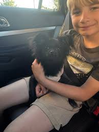 Is anyone running Dunlop Mutants? Views? They look good.