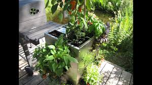 Weitere ideen zu garten, garten ideen, pflanzen. Schmidt Max Entdeckt Den Kubi Youtube
