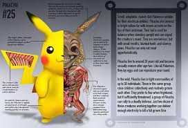 Maybe you would like to learn more about one of these? Pokenatomy Anatomical Illustrations Revealing The Innards Of Popular Pokemon Characters