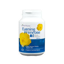 Chilean evening primrose, south american evening primrose, fragrant evening primrose, sweet sundrop (oenothera stricta; Evening Primrose Oil Epo Herbal Pharm