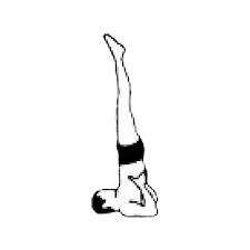 Knowing the few basic rules will give you a little confidence before you. 12 Basic Asanas The Yoga Warehouse