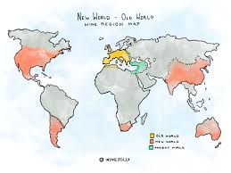 The transitions and changes contributed to growing old are often associated with many concerns, uncertainties, and fears. Real Differences New World Vs Old World Wine Wine Folly