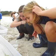 DELAWARE CENTER for the INLAND BAYS