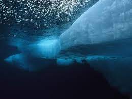 Underwater Landscape Photos Underwater Wallpapers Download Photos National Geographic Underwater Landscape Ocean Underwater Underwater Wallpapers