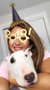 Kokomo the Bipawd Bullie