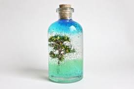 Fairy Tale Miniature Glass Bottle Decoration Glass Terrarium With Water Gel Home Wedding Decor Na Glass Bottles Decoration Bottle Decoration Glass Bottles