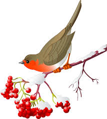 Bird Sitting On Branch Png Pretty Bird And Winter Berries Winter Bird Pretty Birds Bird Sketch