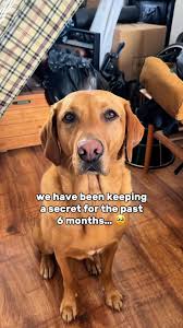 Goblin Girl Peggy added a new photo —...