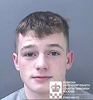 10 Police, Emergency Services and Court