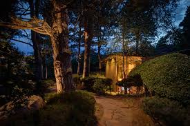 Downlighting Vs Uplighting Which Landscape Lighting Do You Need