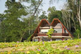 Tempat menarik di bentong pahang,tempat menarik di karak,tempat menarik di raub,tempat menarik di temerloh,tempat menarik di jerantut,tempat menarik di janda baik,tempat menarik di kuala lipis,tempat menarik di maran,tempat menarik gambang,tempat menarik di kuantan. 9 Charming Villas And Nature Retreats Near Kl For Getaways With Friends Or Family Klook Travel Blog