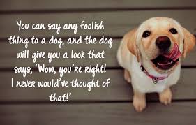 100 Unconditional Love Quotes For Family Friends Etandoz Dog Quotes Family Love Quotes Dogs