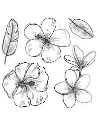 Dessin d'anniversaire facile unique beau dessin a colorier facile fleur avec coloriage can be beneficial inspiration for those who seek an image according specific categories, you can find it in this site. Epingle Sur Coloriage Fleurs Et Plantes Flowers And Plant Colouring Pages