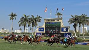Horse racing betting is on the board saturday with a full card at the tampa bay downs and gulfstream park for may 9. 100 Not Out Gulfstream Dream Team Defy Burnout To Keep Global Fans Entertained Horse Racing News Racing Post