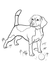 If you love your beagle or just wish you had one, you can print one out! Begal Dog Coloring Pages Coloring Pages Blog Station