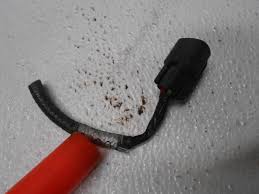 Image result for Vermillion Red 2000 Escape