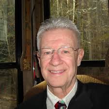 What type of ant is causing dry food infestation?