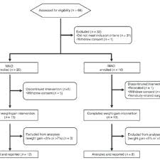 Energy Expenditure Calorie Consumption And Diet