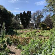 I've been teaching for the past 15 years, 11 of which have been at growing light. Growing Light Montessori School Kensington Montessori Schools 52 Arlington Ave Kensington Ca Phone Number