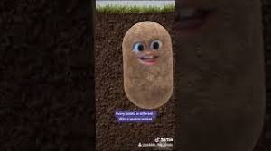 Some of the technologies we use are necessary for critical functions like security and site integrity, account authentication, security and privacy preferences, internal site usage and maintenance data, and to make the site work correctly for browsing and transactions. A Potato Flew Around My Room Youtube