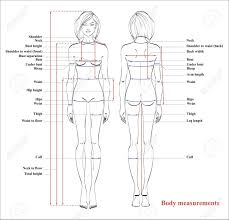 Stock Vector Body Measurement Chart Measurement Chart