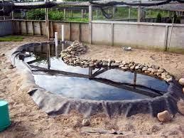 Sdp is a collection of 6000 unique slacker duck nfts — unique digital collectibles living on the ethereum blockchain. Duck Pond Ideas Ponds Backyard Backyard Ducks Chickens Backyard