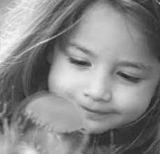 Sparring for Lieber's seat