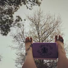 Check spelling or type a new query. Took My Morning Practice Outside 3 A Little Morning Yoga Flickr