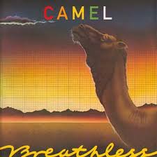 ~ release group by camel. Pin On My Vinyl I Have A Lot This Could Take A While