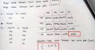 Home»sketsa bunga»23 gambar sketsa bunga mawar terindah dan cara menggambarnya»sketsa gambar tangan memegang bunga mawar. Bunga Mawar Memiliki Sifat Warna Merah M Warna Putih M Kelopak Besar K Kelopak Kecil K Jika Bunga Mawar Kelopak Besar Warna Merah Homozygot Disilangkan Dengan Bunga Mawar Kelopak Kecil Warna Putih