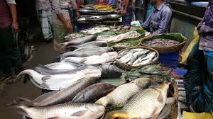 Wondrous Fish Market Biggest Fish Market In Bangladesh Fish Big Fish Marketing