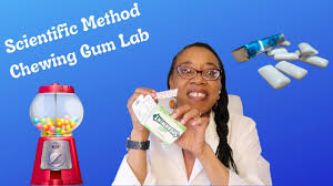 Science Fair Project: Which Chewing Gum Lasts The Longest? | Science Fair  Projects, Science Fair, Fair Projects
