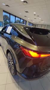 Image result for Nori Green 2025 LZ