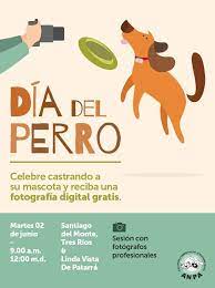 Los perros y las razas. Facebook