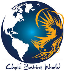 On the street of arcade street and street number is 1047. Download Chris Betta World Fonts Png Image With No Background Pngkey Com
